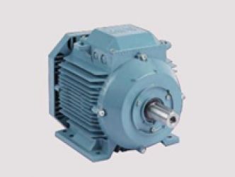綠籬修剪機(jī)24v600w電機(jī)如何選擇和使用